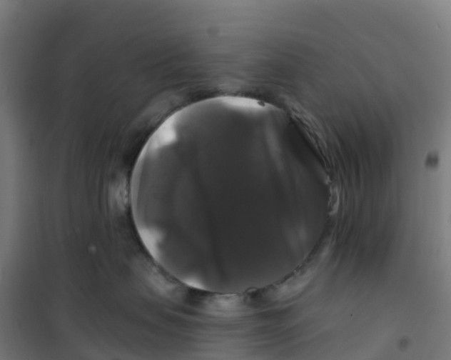 X0000100370479200807031906