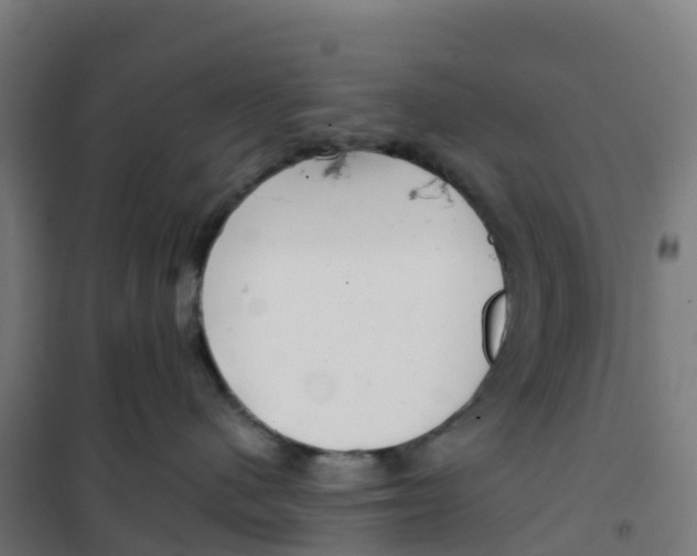 X0000100370480200807031906