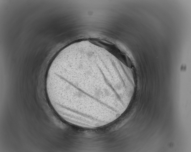 X0000100370481200807031905