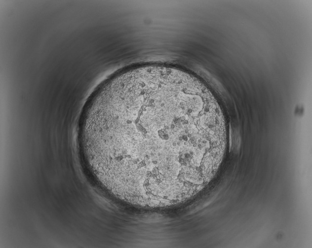 X0000100370483200807031905