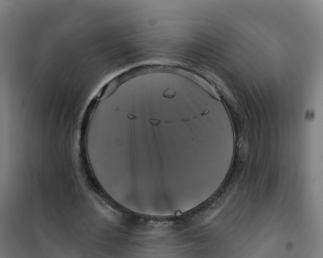 X0000100370484200807031905