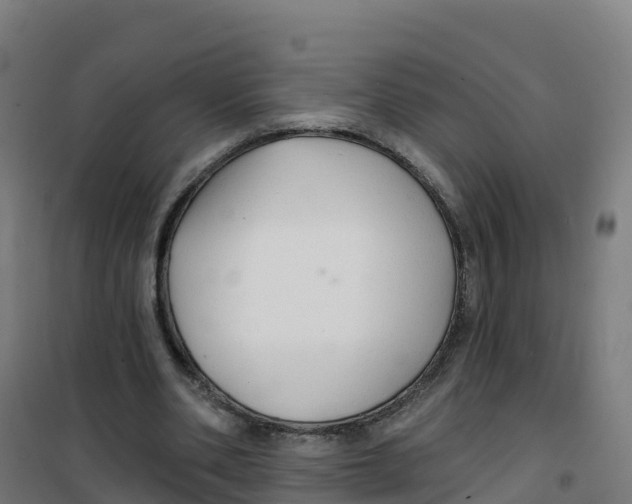 X0000100370486200807031905