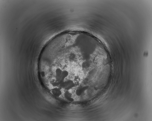 X0000100370487200807031905