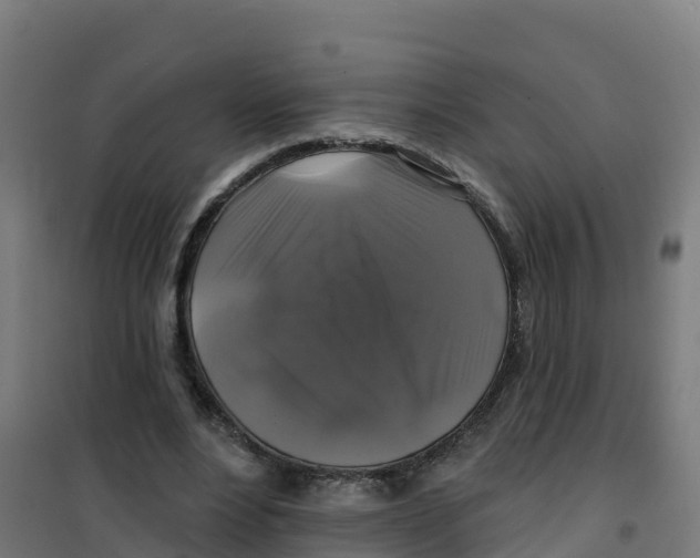 X0000100370488200807031905