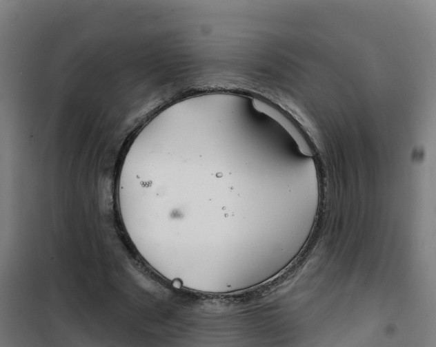 X0000100370489200807031905