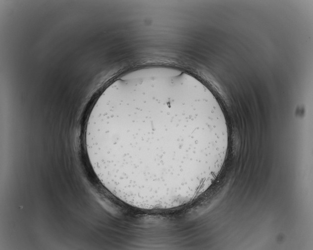X0000100370490200807031905