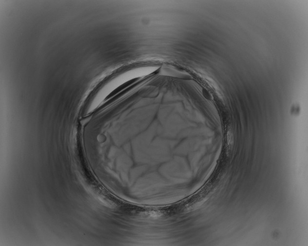 X0000100370492200807031905