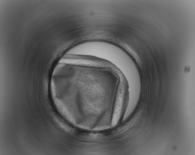 X0000100370493200807031905