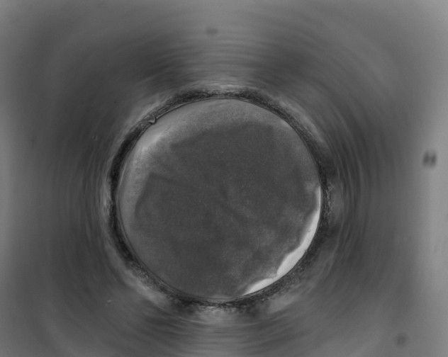 X0000100370494200807031905