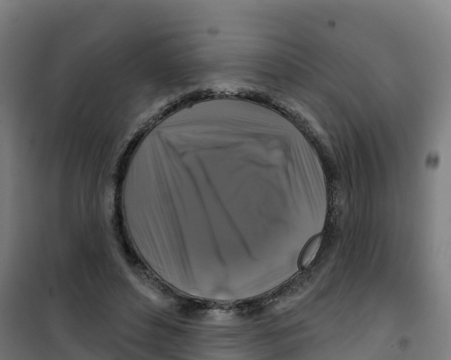 X0000100370496200807031905