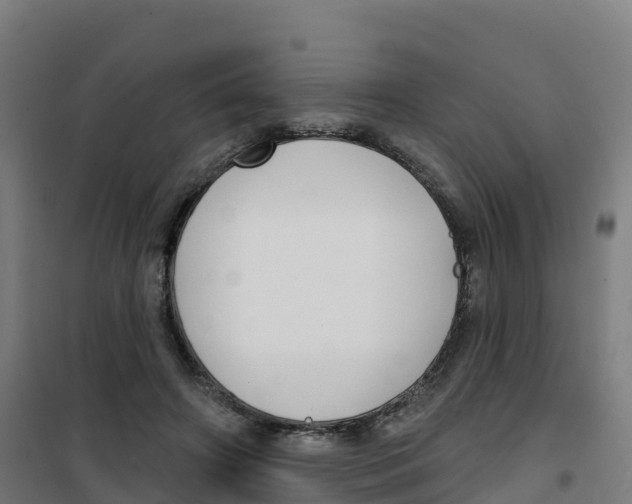 X0000100370498200807031905