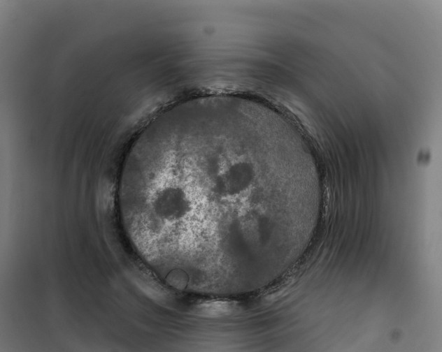 X0000100370499200807031905