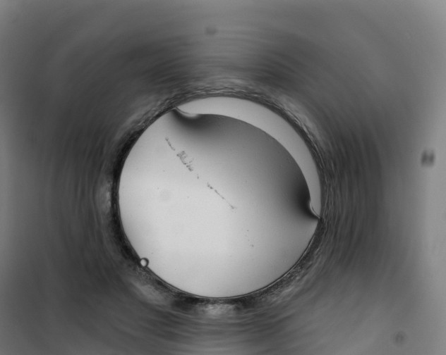 X0000100370501200807031905