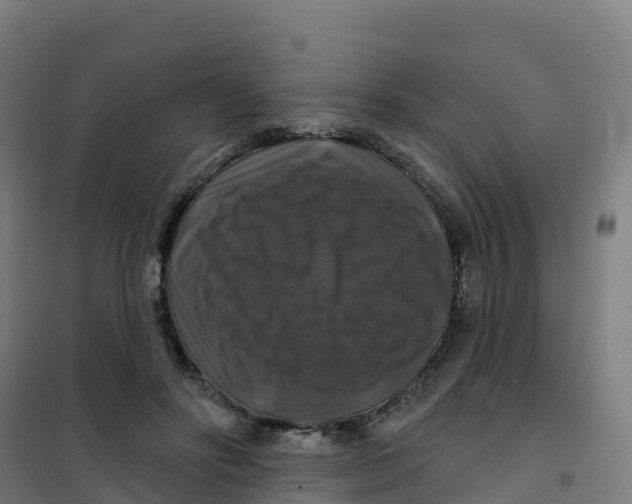 X0000100370502200807031905