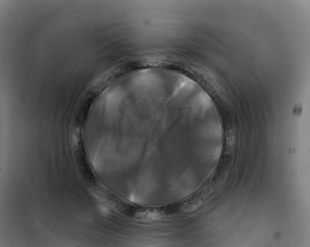 X0000100370503200807031905