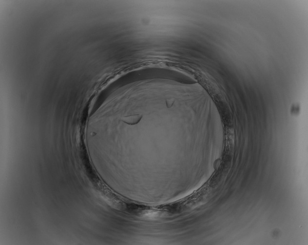 X0000100370504200807031905