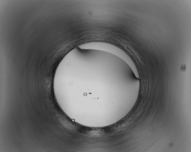 X0000100370505200807031905