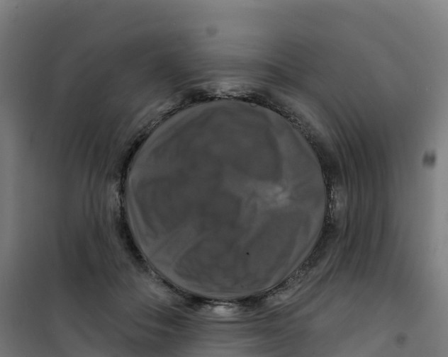 X0000100370506200807031905