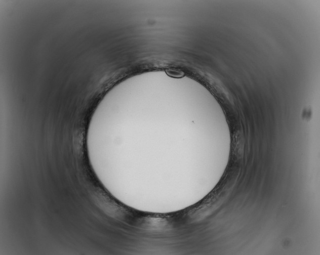 X0000100370509200807031905