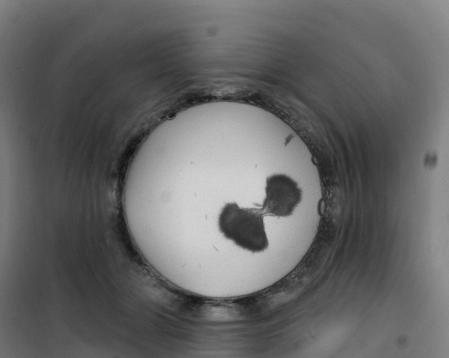 X0000100370510200807031905