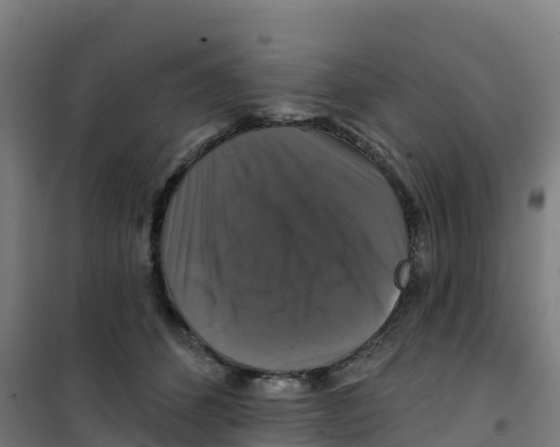 X0000100370512200807031905