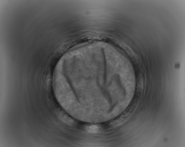 X0000100370513200807031905