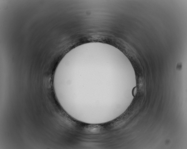 X0000100370514200807031905