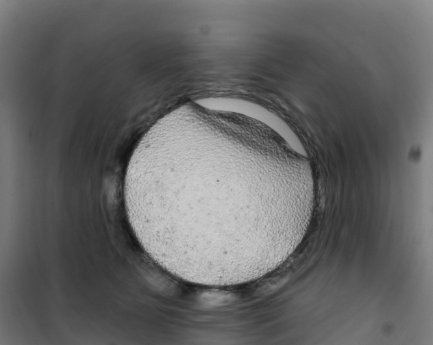 X0000100370515200807031905