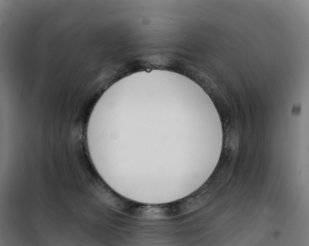 X0000100370518200807031905