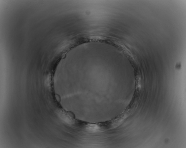 X0000100370519200807031905