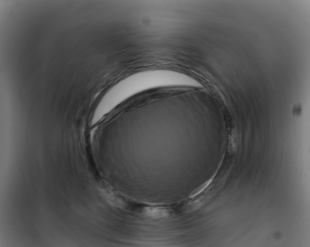 X0000100370520200807031905