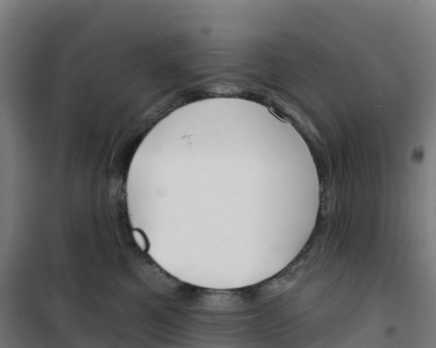 X0000100370521200807031905