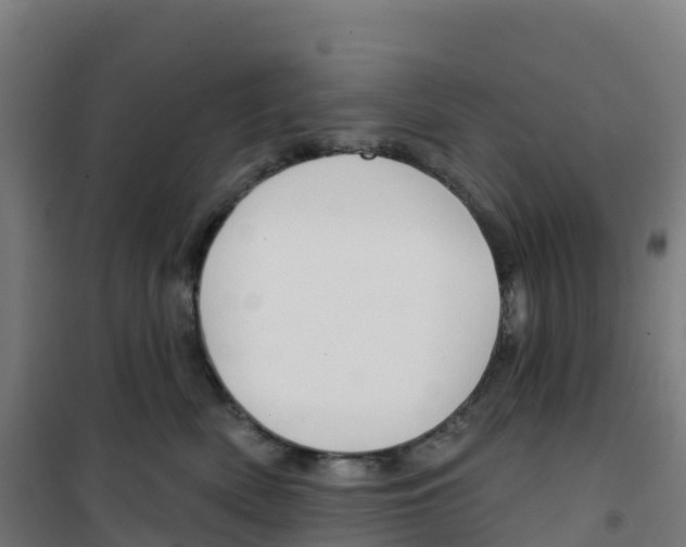 X0000100370522200807031905