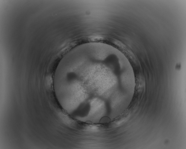 X0000100370523200807031905