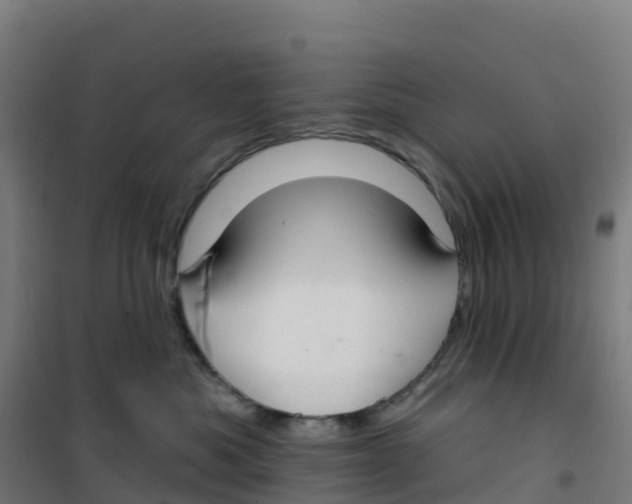 X0000100370525200807031905