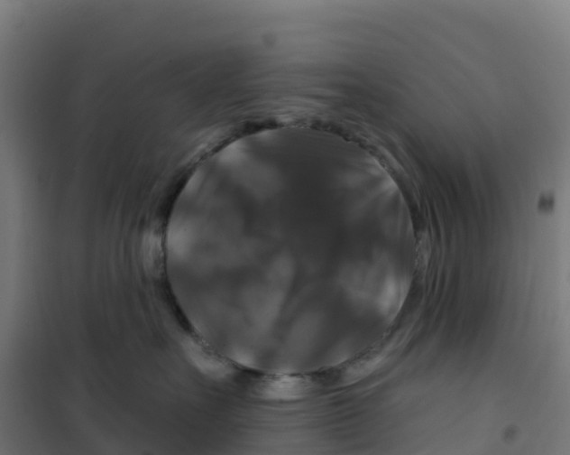 X0000100370527200807031905