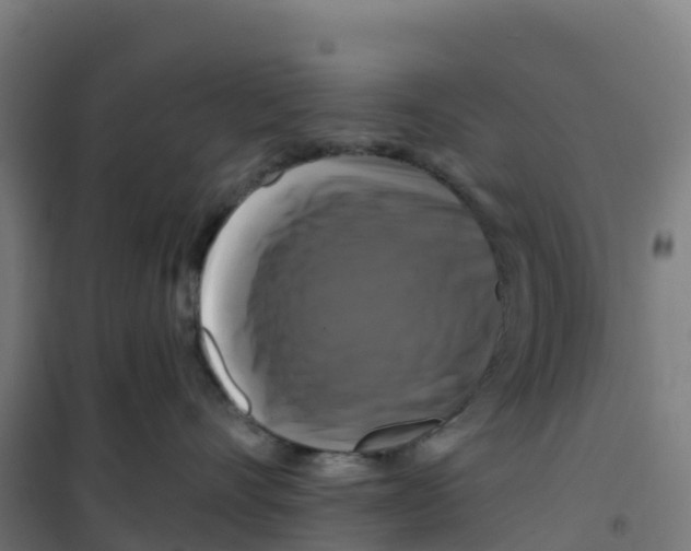 X0000100370528200807031905