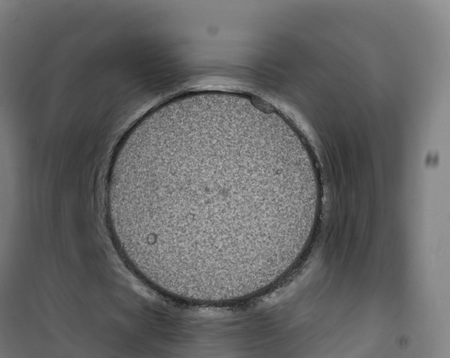 X0000100370529200807031904