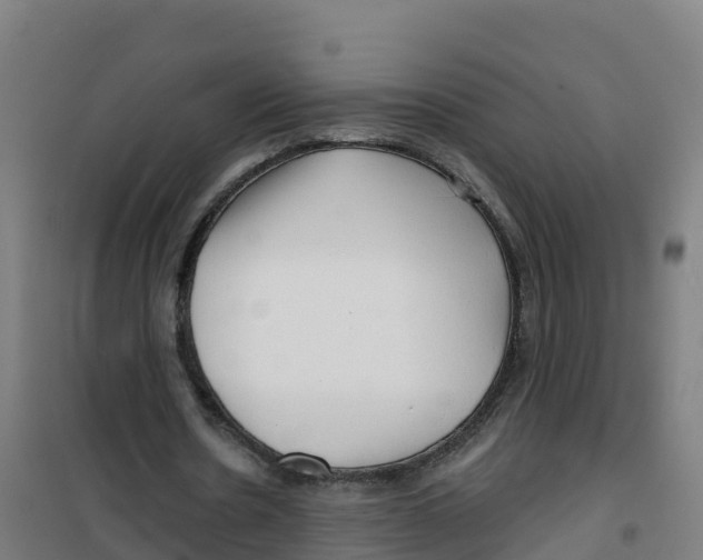 X0000100370530200807031904