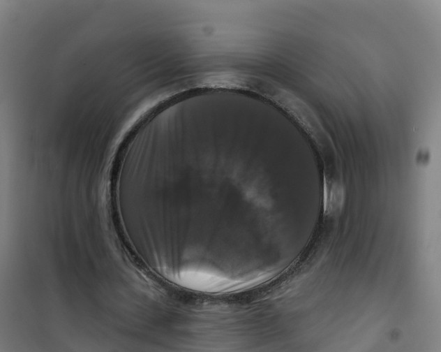 X0000100370531200807031904