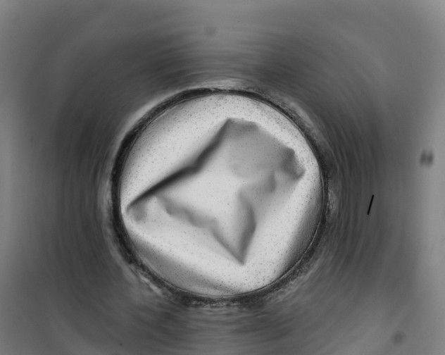 X0000100370532200807031904