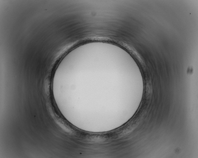 X0000100370533200807031904