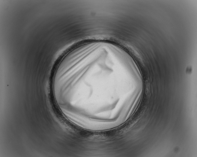 X0000100370536200807031904