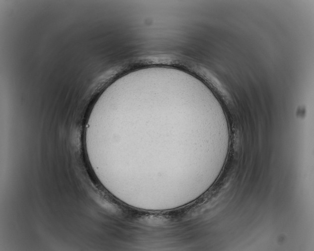 X0000100370537200807031904