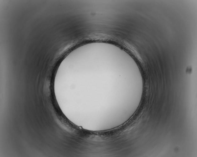 X0000100370538200807031904