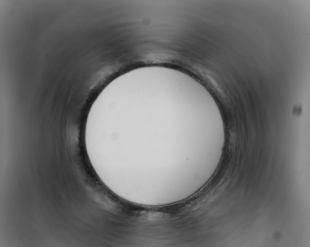 X0000100370539200807031904