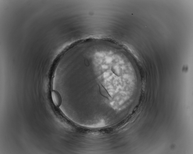 X0000100370540200807031904