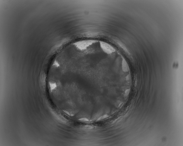 X0000100370542200807031904