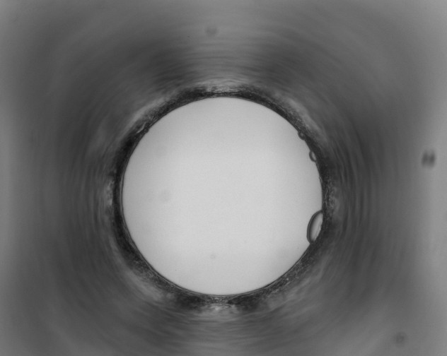 X0000100370543200807031904