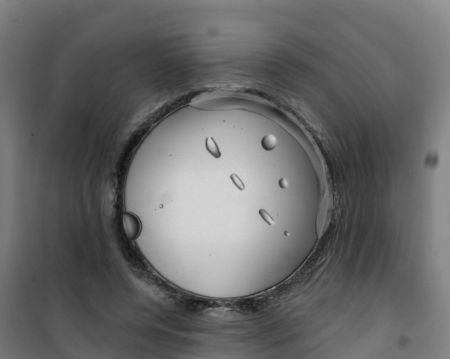 X0000100370544200807031904